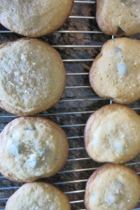 saltedcaramelsugarcookies